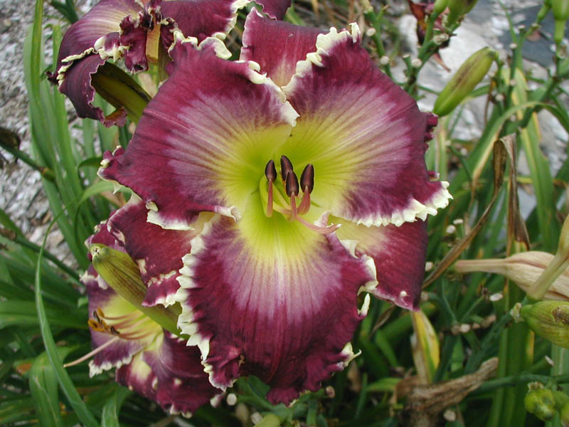 Chained In The Abyss